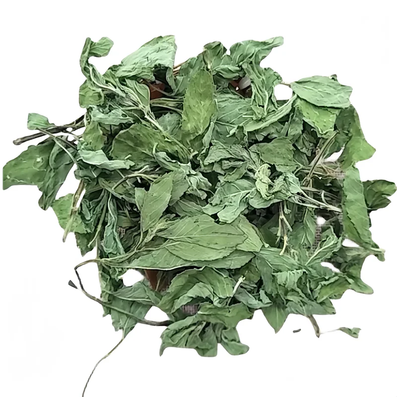 Wholesale Organic Healthy Mint Leaf Spearmint Tea Peppermint Wintermint Leave Tea
