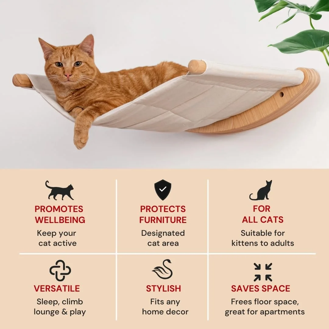 cat hammock5