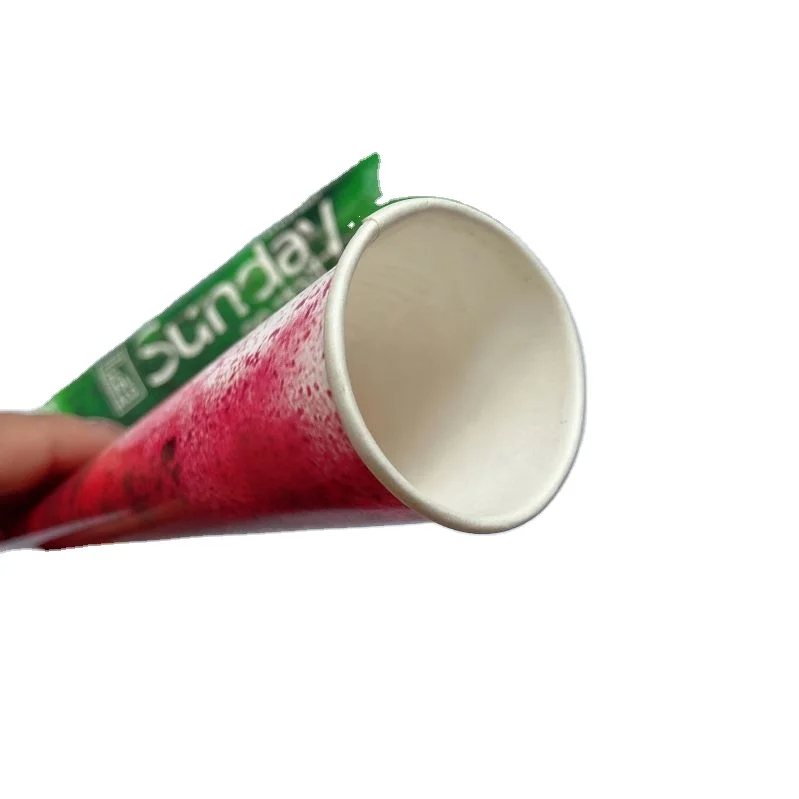 Custom Logo Customized design wholesale aluminum frozen ice cream cone slushy squeeze paper cup calippo tube