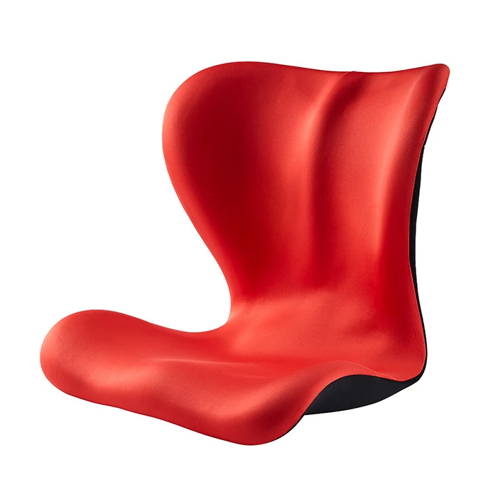 Petals cushion19.jpg