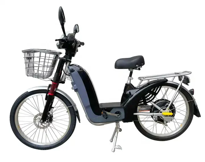 Cheap Electric Bike 48V 12Ah Electric Bicycle 350W Cargo Bike Cheap Bicicleta Electrica For Adults