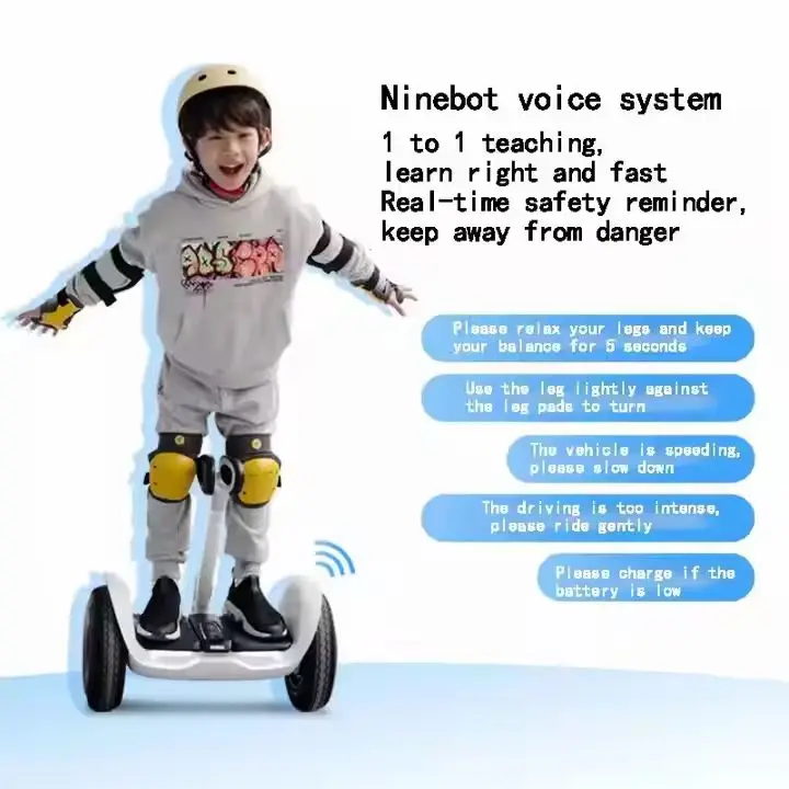 Оптовая продажа оригинальные самобалансирующие электрические скутеры Ninebot L8 дюймов для детей/взрослых