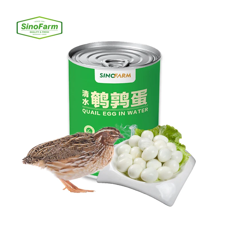 Boiled Quail Egg in Brine Water Yolk Small Egg Direct Edible Ready To Ship