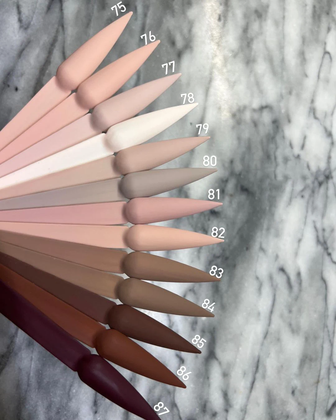 1KG Wholesale Private Label White Clear Dipping Nail 3in1 Ema Acrylic Polymer Powder Dipping Acrylic Powder