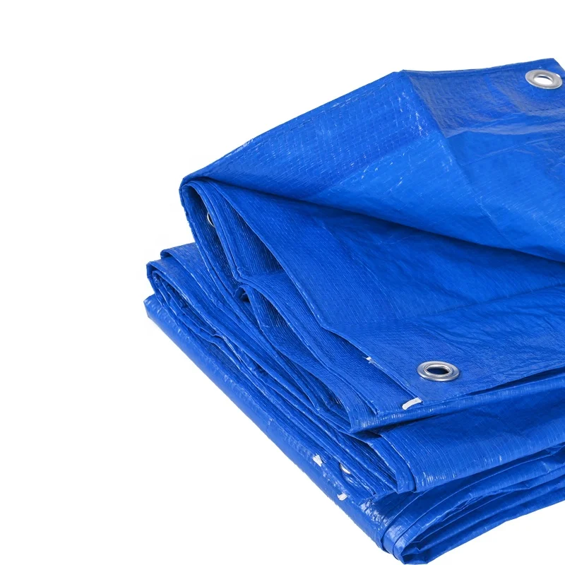Complete Specifications Black Protective Tricycle Waterproof Tarpaulin