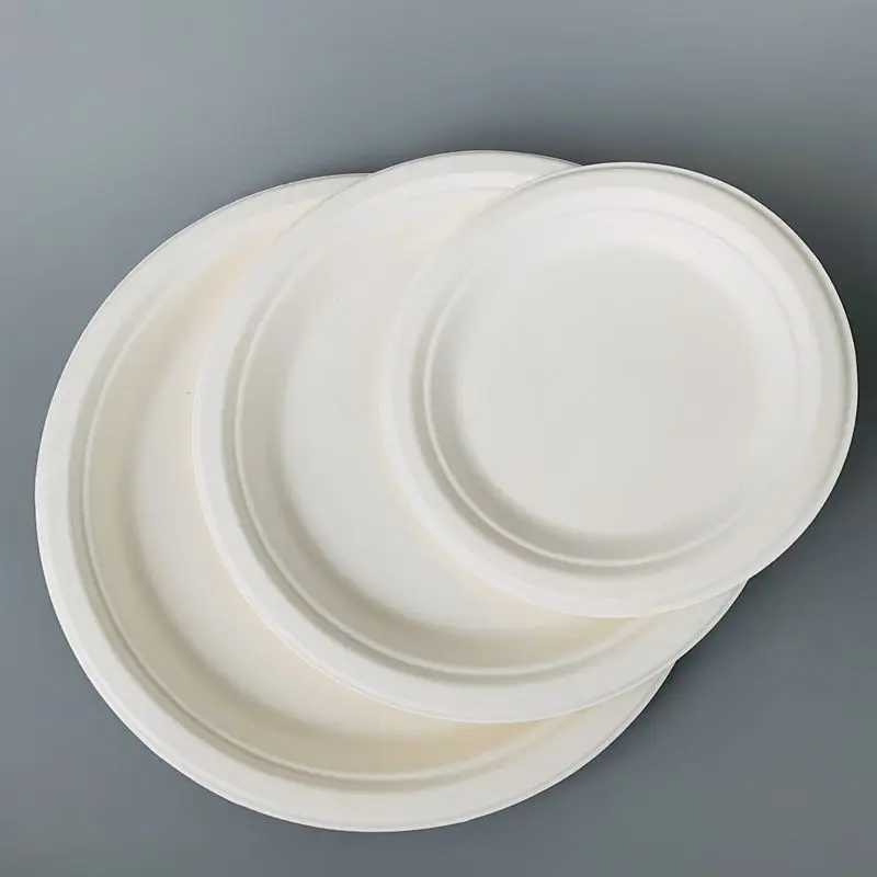 
Disposable Biodegradable Sugarcane Bagasse Tableware 