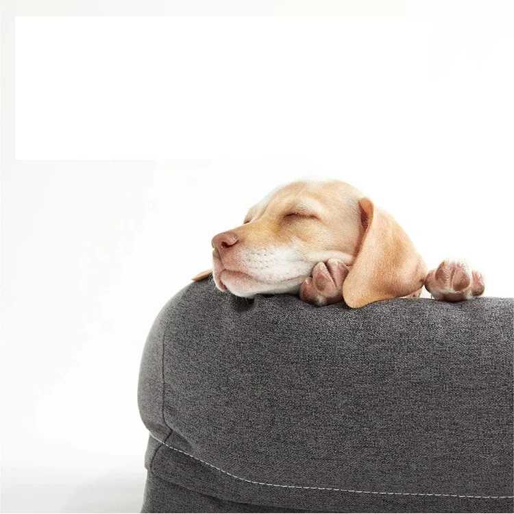 Best Seller All Weather Square faux leather dog sofa