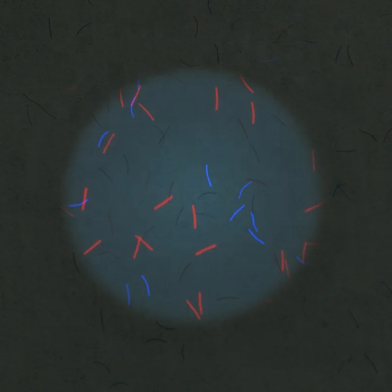 Китайский производитель защищенная бумага 70gsm с УФ-волокнами для печати и этикеток