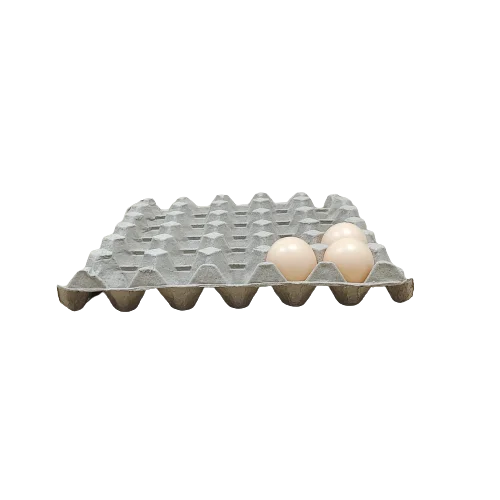 Biodegradable egg carton empty 30 cells tray box packaging for chicken egg