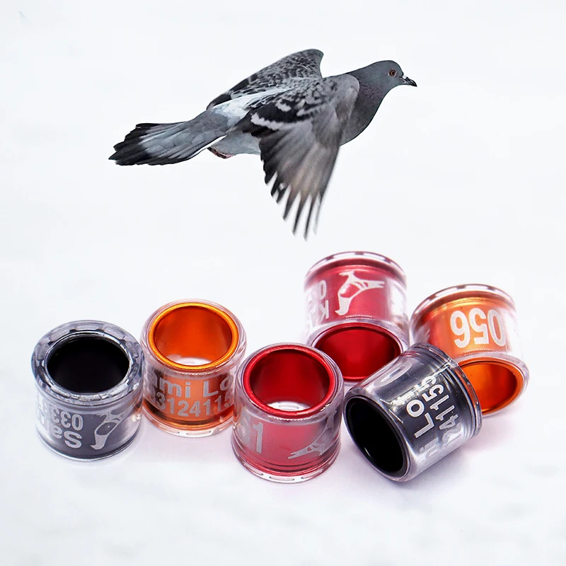 GSF Hot Sale Wholesale High quality Colorful Design 8mm Aluminum Plastic Bird Bands Pigeon Ring