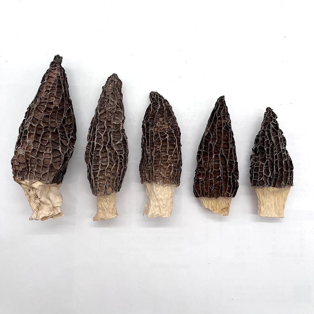Factory Price Dried Price Morel Mushroom Morchella Mushroom Morel