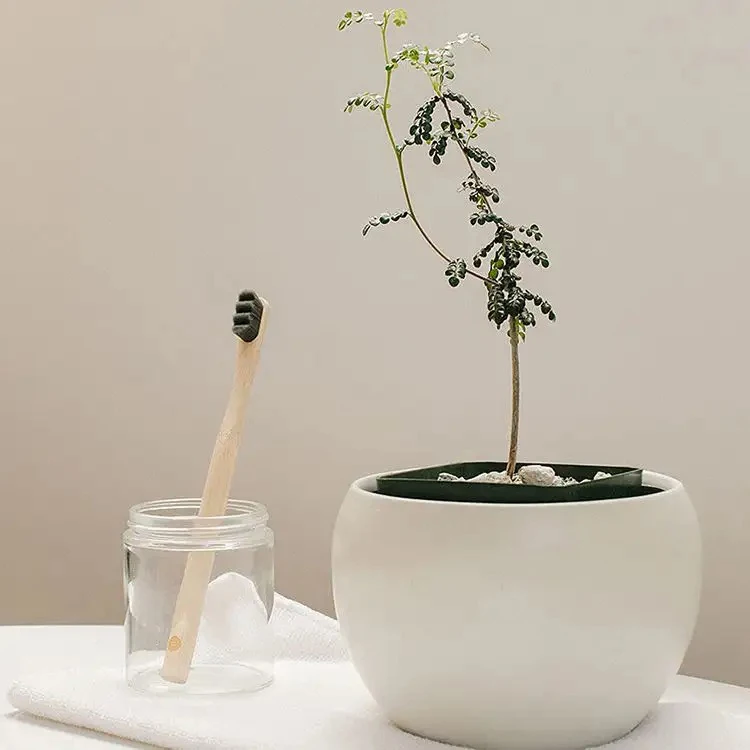 Free Sample Custom 10000 Bristle Micro Fiber Extra Ultra Soft Eco Friendly Biodegradable Toothbrush Micro Nano Bamboo Toothbrush