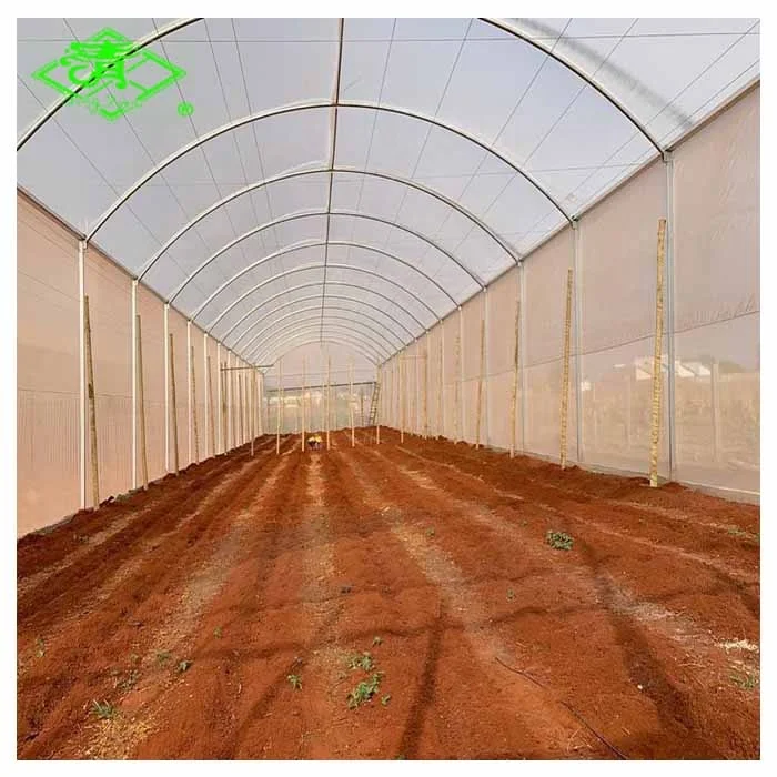 5 слоев PO овощных теплиц пленка на продажу от Qingtian пластиковые завод