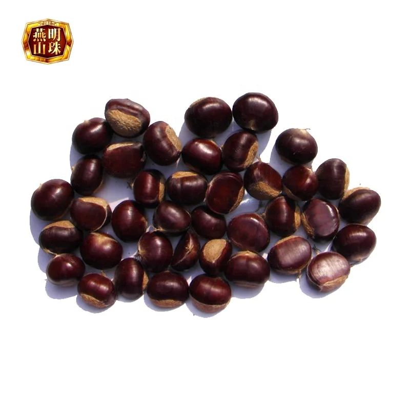 Fresh Sweet Yanshan Organic Chestnut With Shell