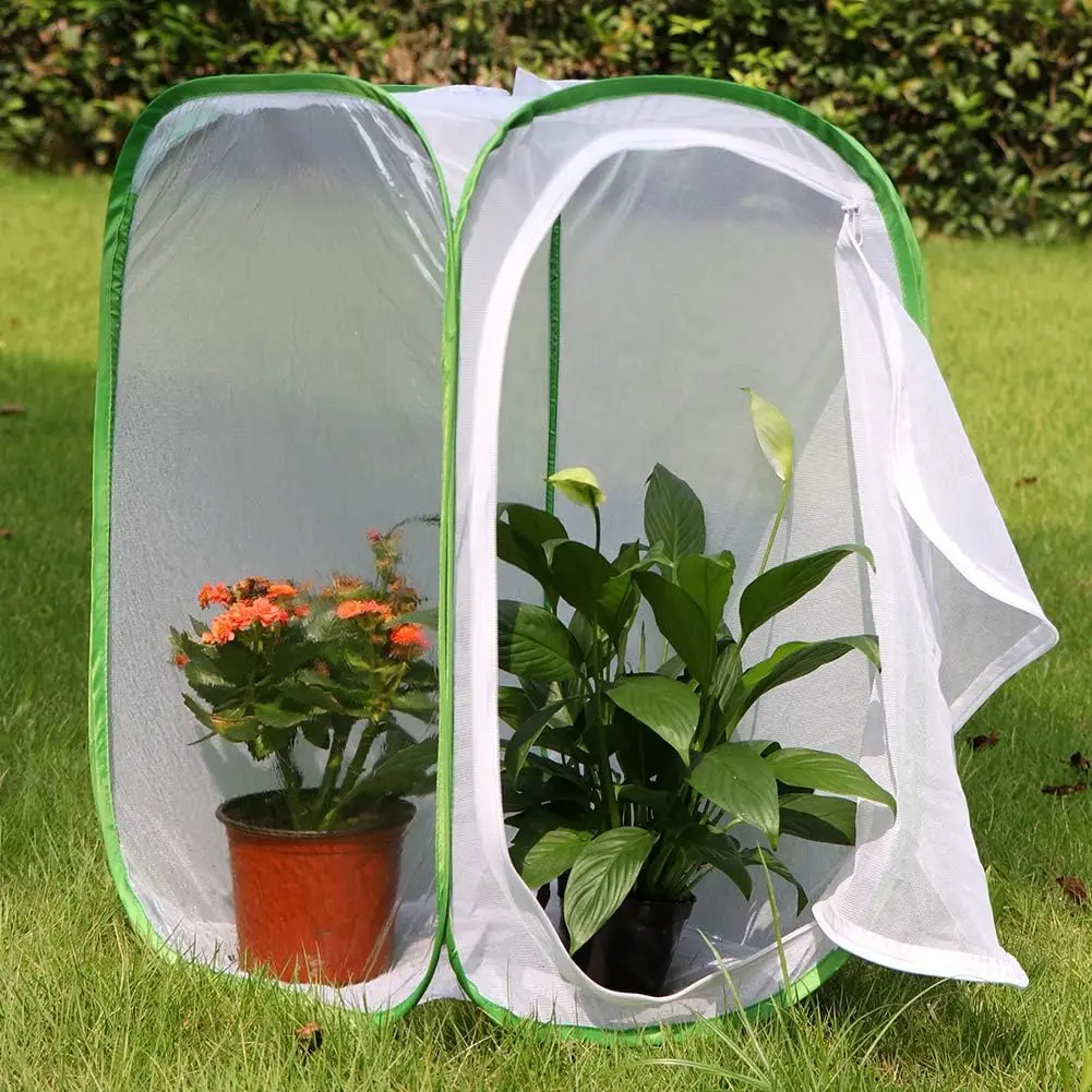 OF Green Habitat Cages Collapsible Butterfly Net House Pop-up Insect Breeding Rearing Mesh Cage  Growing kit for kids