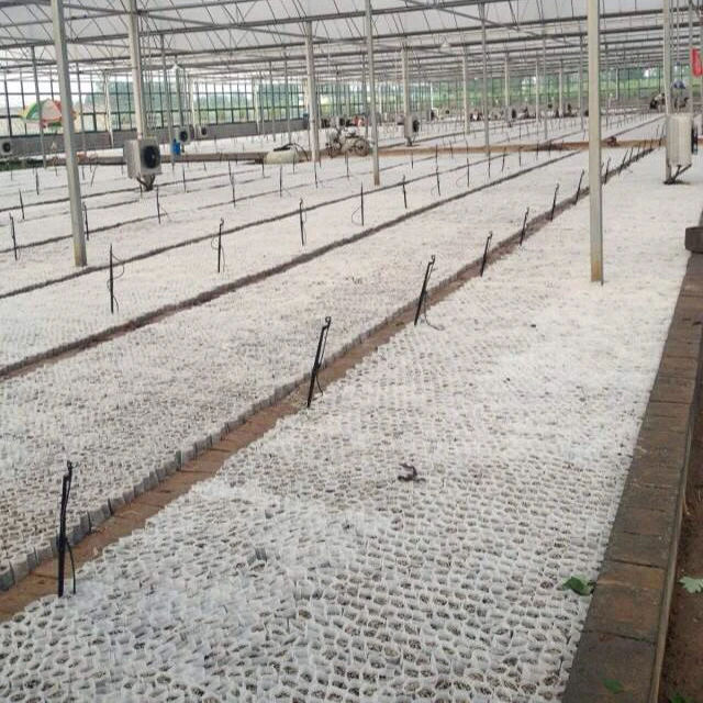 Biodegradable Non woven Fabrics Growing Plant Pot White Nursery Bag