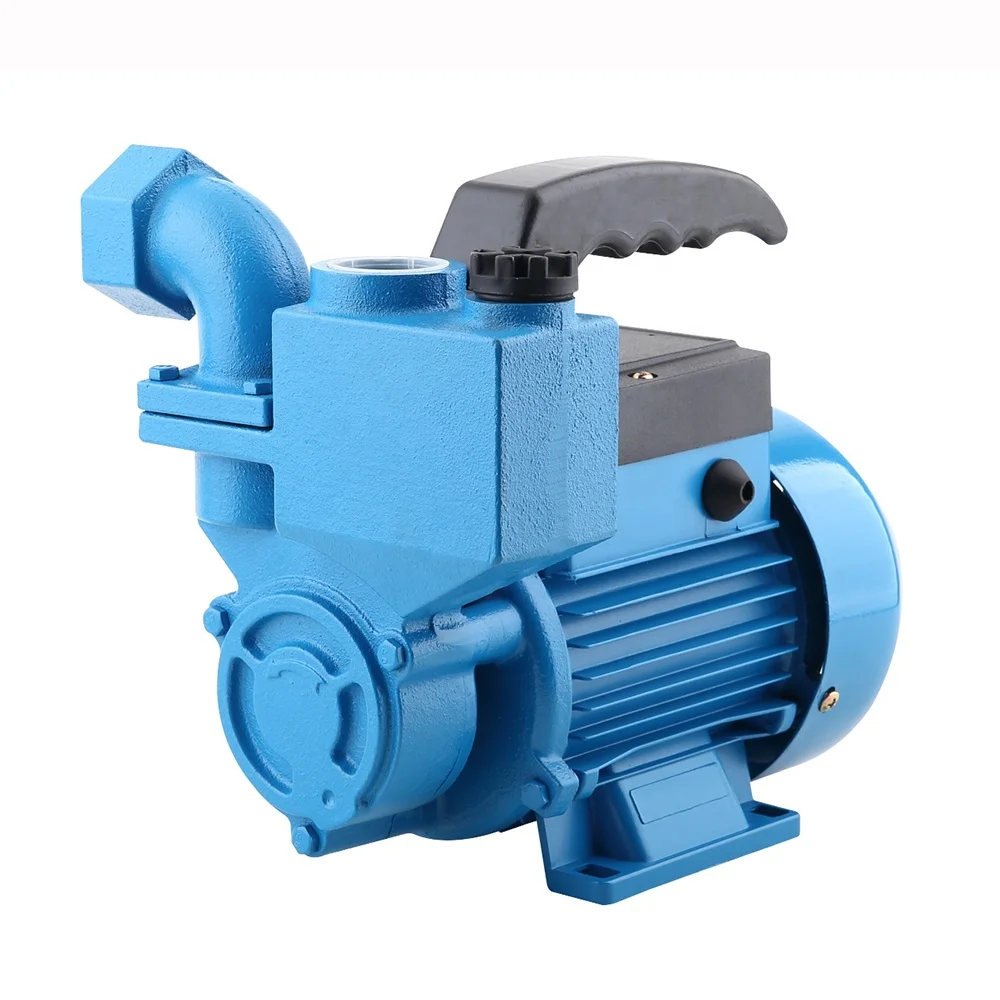 220V 50HZ 0.5Hp Iraq Hot Sale Wholesale 1 Inch Automatic Water  Pump With Handle