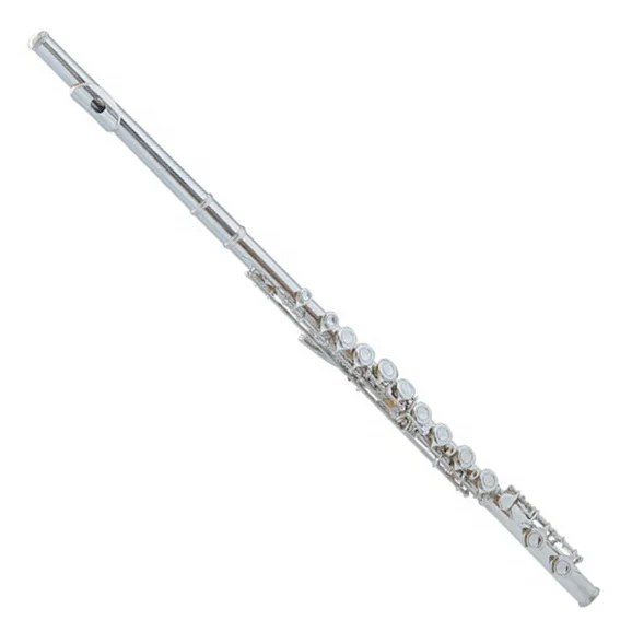 Accetp OEM 16 Holes C Nickel Flute With E mechanism Flute JYFL201E