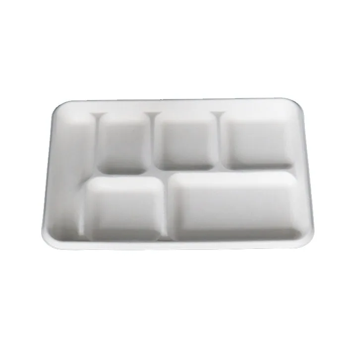 
biodegradable sugarcane fast food dishes and plates 