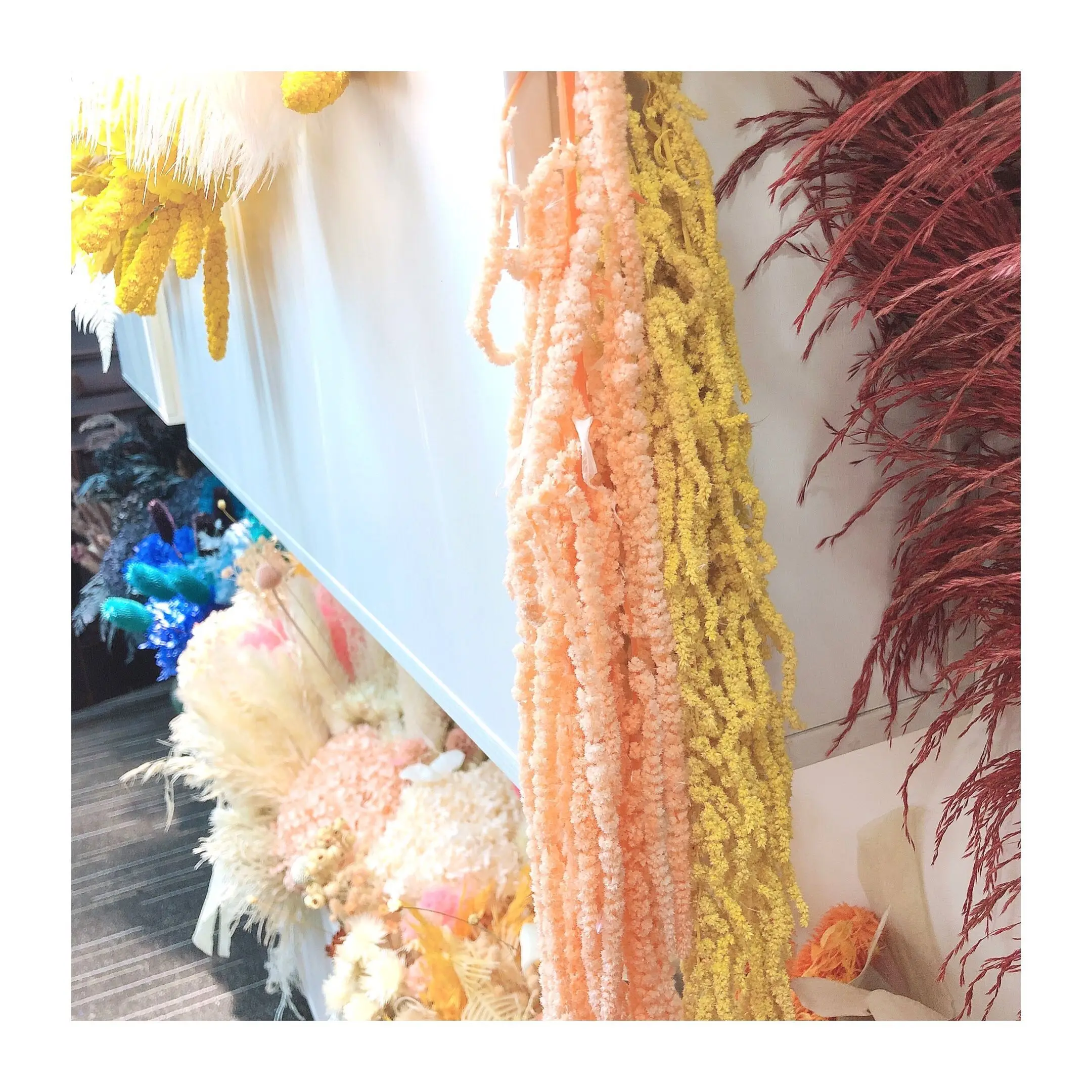 
High Quality Hot Sell Wholesale Colorful Designs Preserved Flower Preserved Amaranth For Decoration 