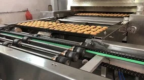 Transfer Conveyor for Cake Production Line