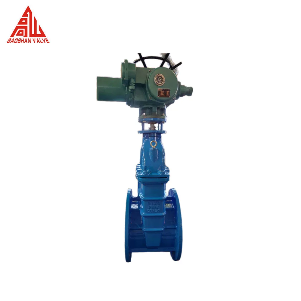 Rising Non Rising Wedge Type GGG40 GGG50 API DIN BS Standard Ductile Iron Flang Flexible Gear Direct Buried Resilient Gate Valve