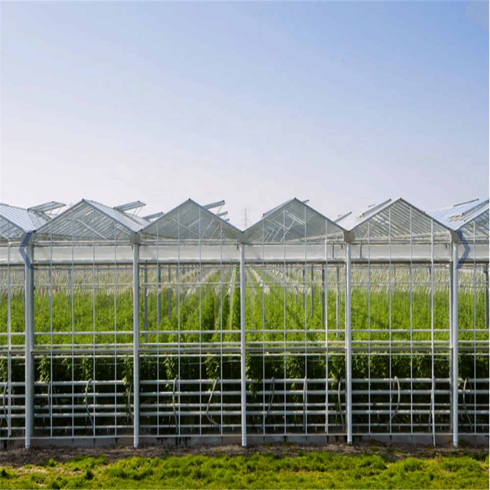 
greenhouse cultivation 