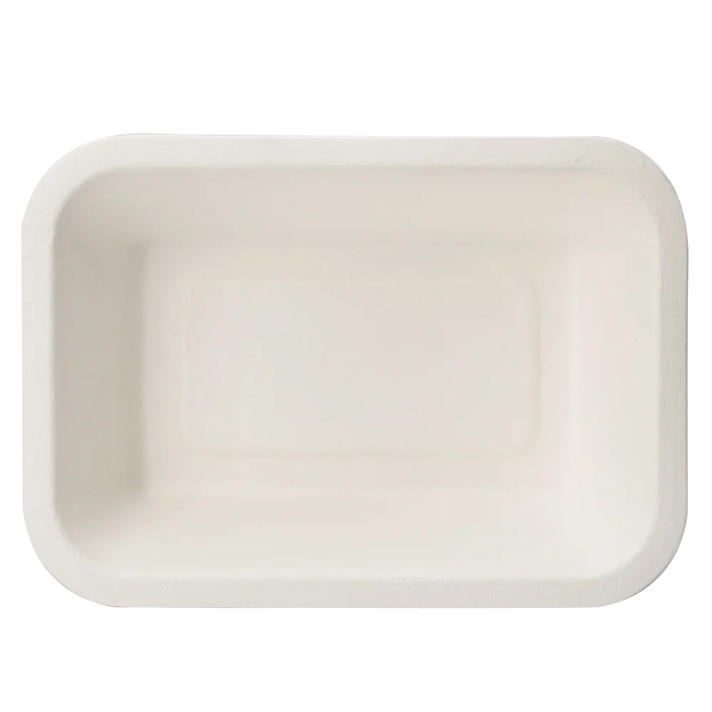 Biodegradable Compostable Sugarcane Bagasse Pulp Mould Fast Food Fruit Disposable Packaging Tray