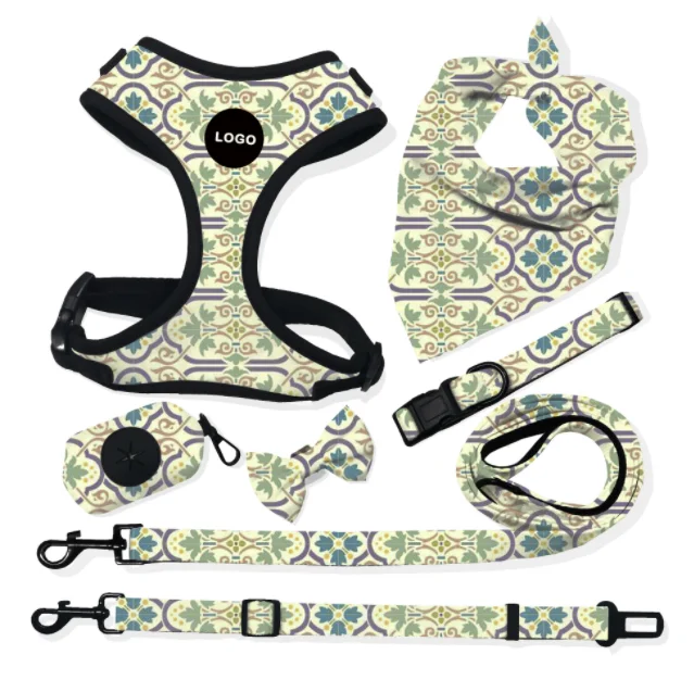 Newest design dog harness, custom different color and logo dog harness and leash set