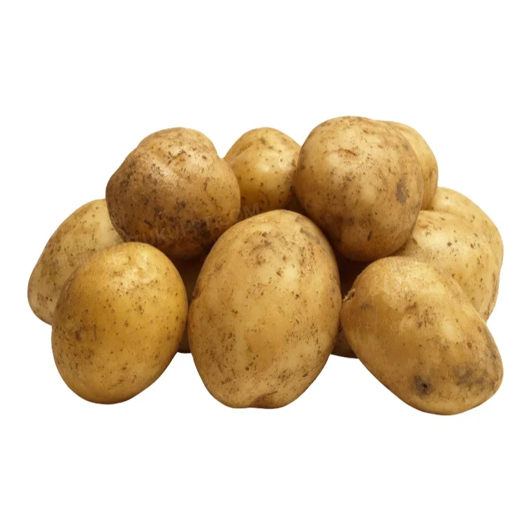 Comprehensive Nutrition french fries make machines chips potato fresh potatoes for sale