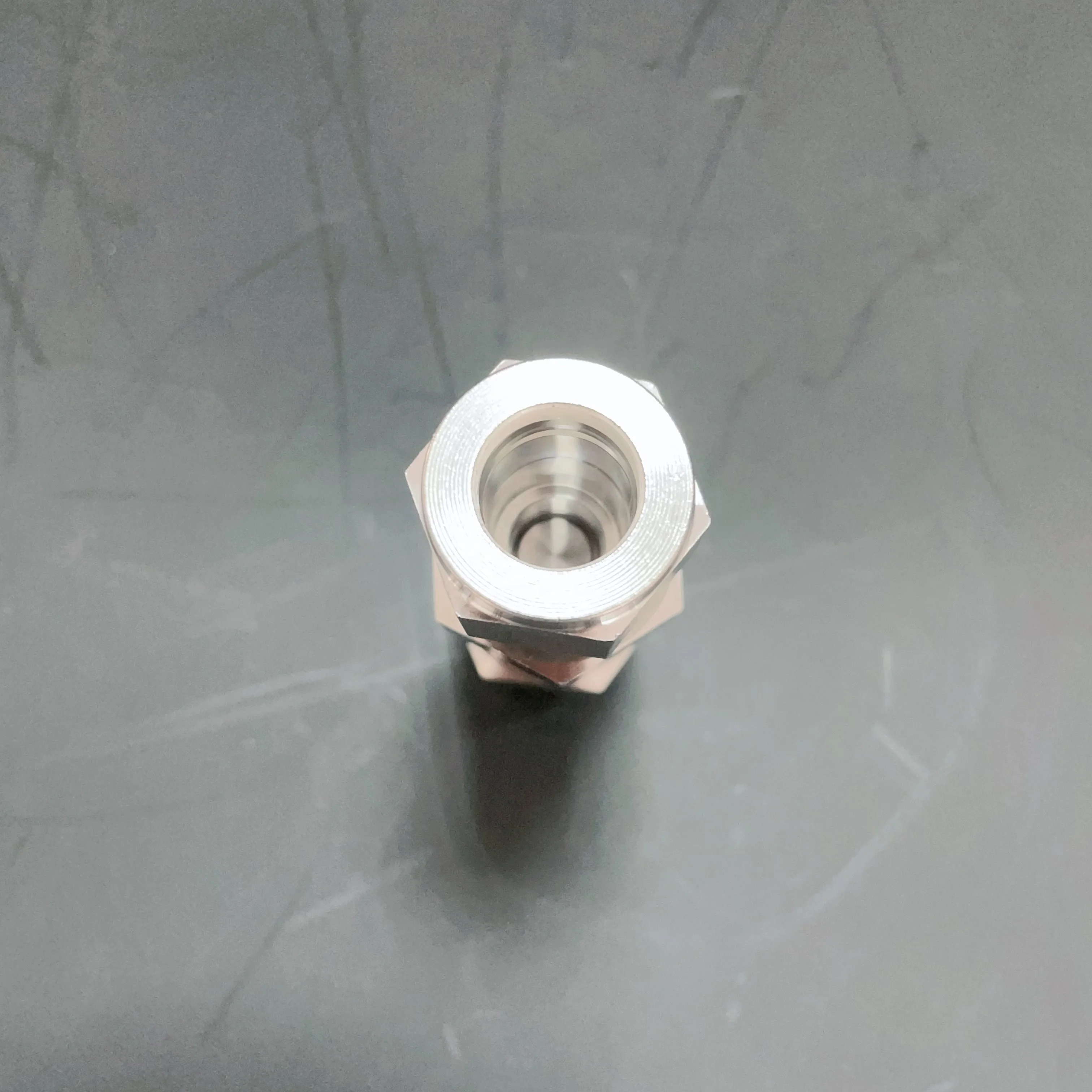 Stainless Steel 304/316L Hydraulic valve 1/2 buckle BSP thread one way valve check valve