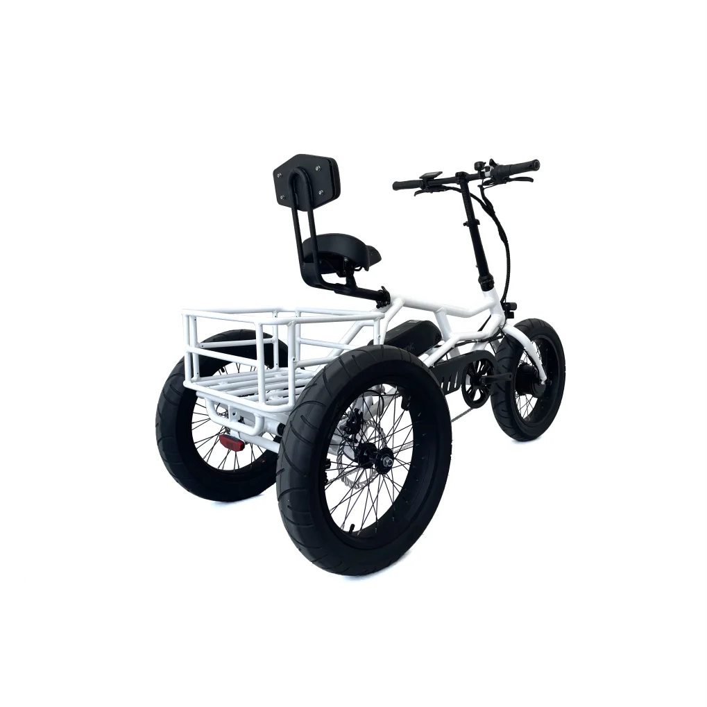 Multi-purpose differential for electric power tricycle electric bike food cart
