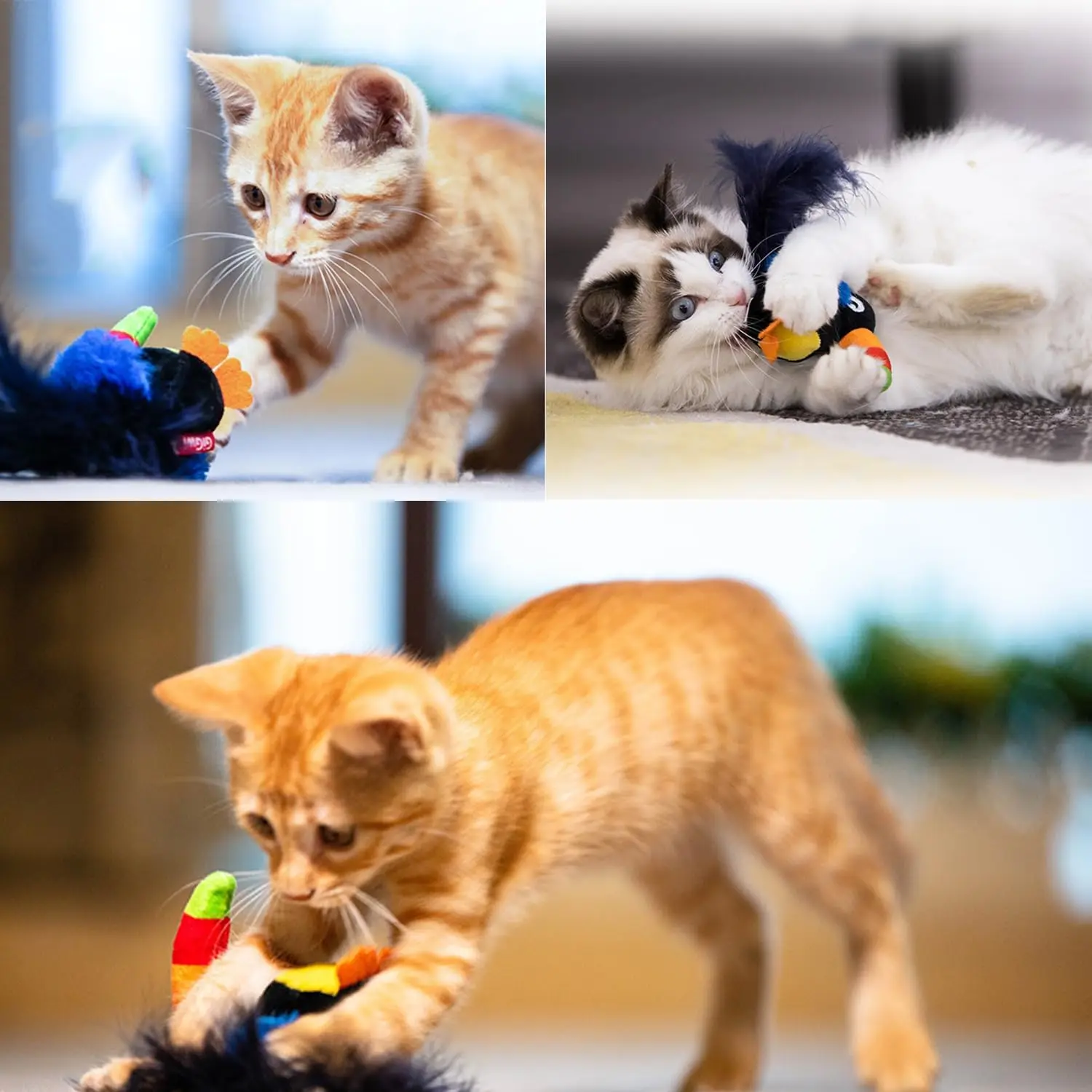 Cat Toys for Indoor Cats, Door Hanging Automatic Chirping Bird & Mouse Kitty Toy, Interactive Feather Kitten Teaser Toy