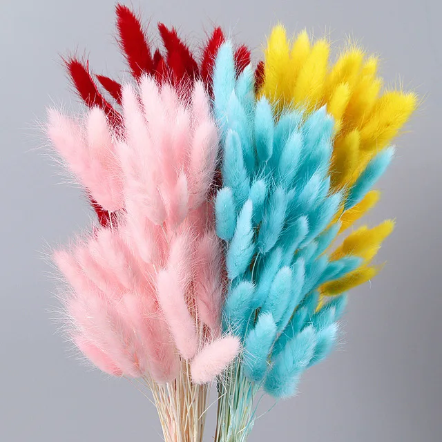 Wholesale dry bunny tails grass lagurus flower artificial wedding decoration dried flowers for bouquet