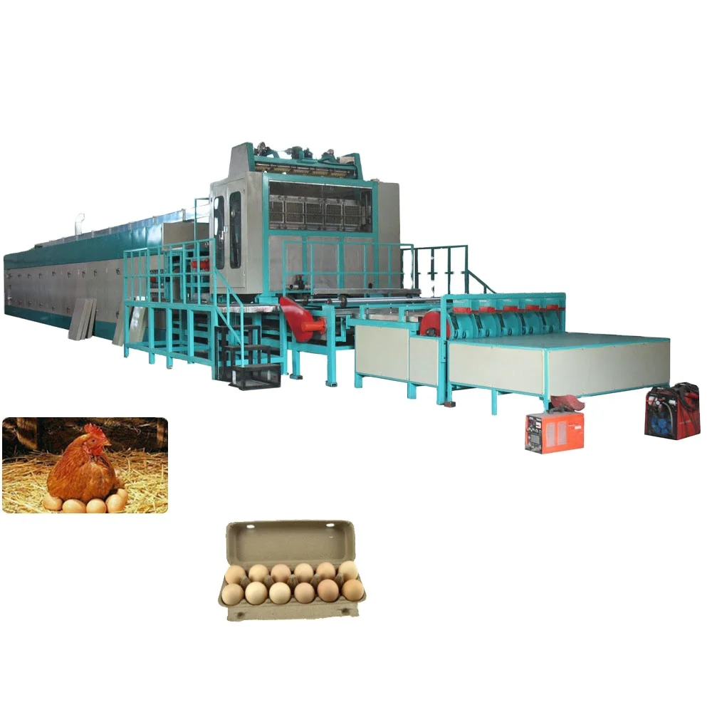 Fully Automatic Paper Egg Tray Making Machine Cheap Egg Tray Making Machine Price