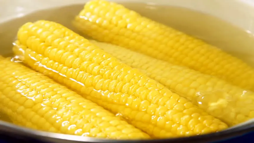 The most delicious boiled corn/ maize in Viet Nam /holiday +84 845 639 639