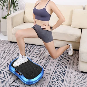 2024 Hot Selling Whole Body High Frequency Vibration Gym Plate 4d Exercise Machine Sonic for Weight Loss