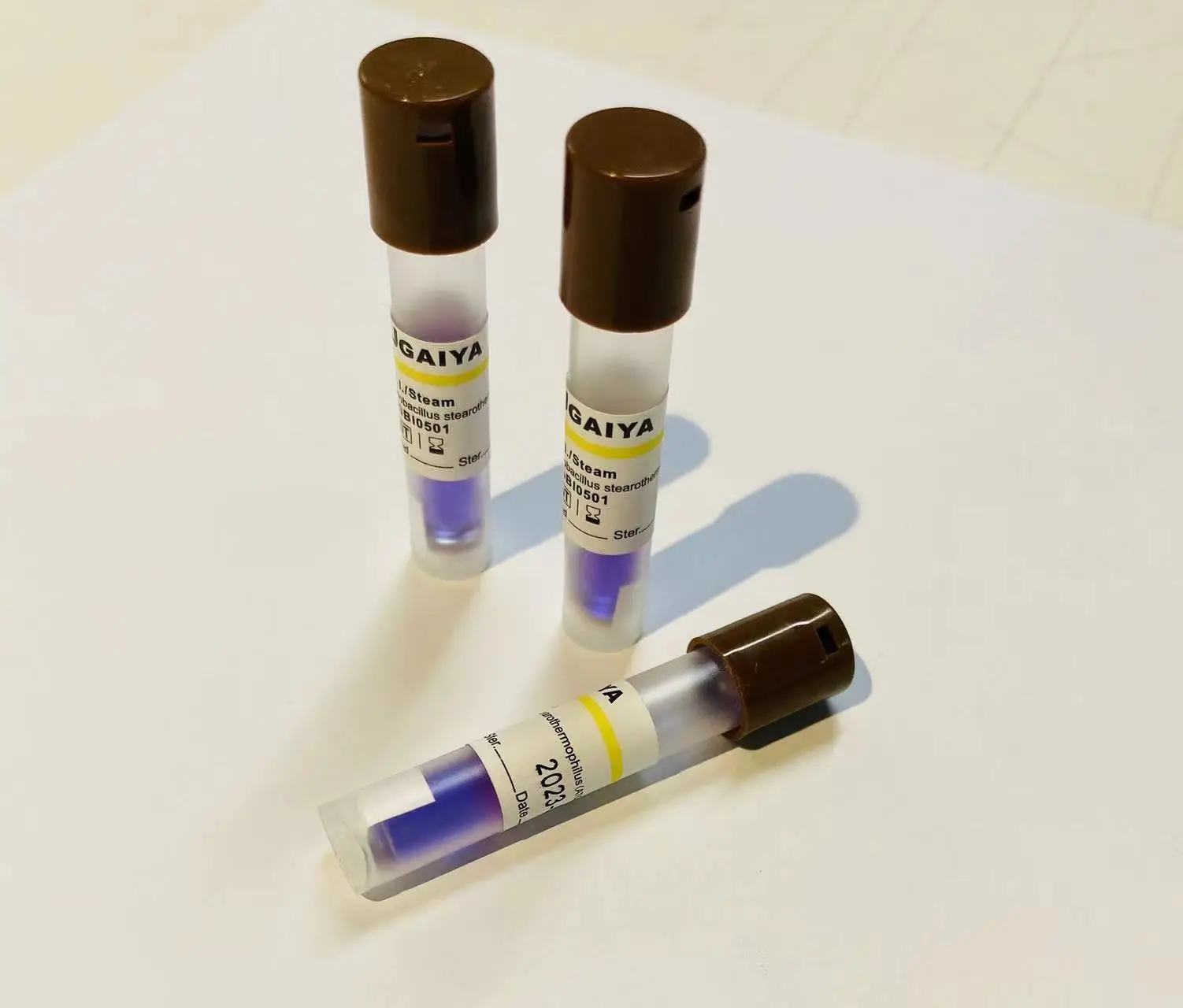 Pulse Valuum High Temperature Steam Autoclave Validation 20 Minutes Rapid Biological Indicator