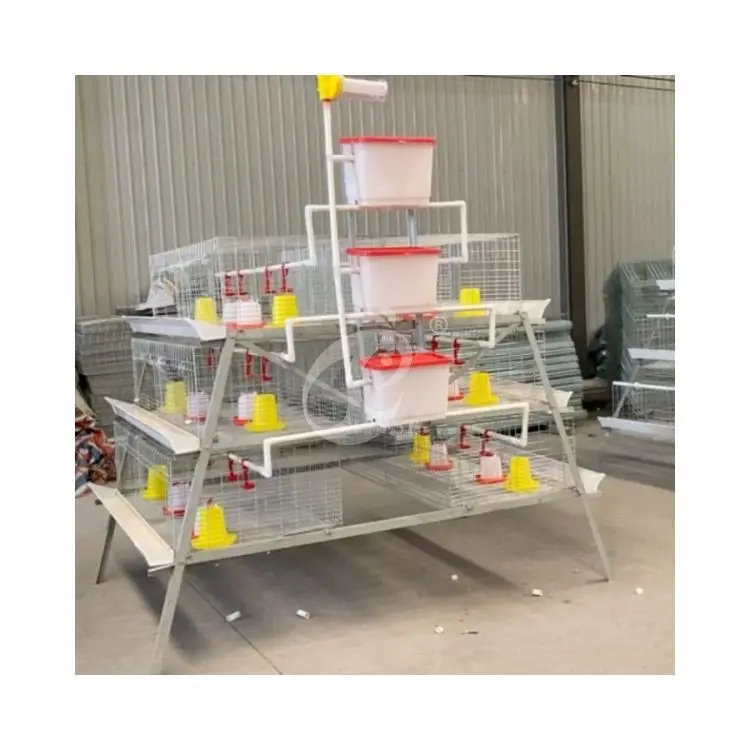 Semi-Automatic Broiler Cage Raise Day Old Broilers To Adult For Broiler Farm