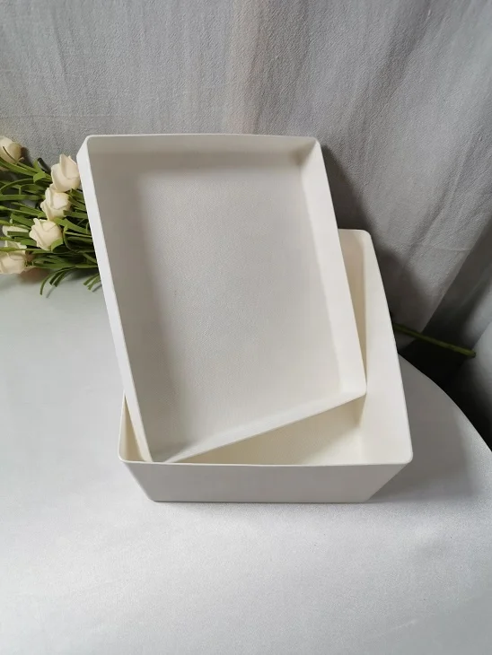 New Product Disposable Biodegradable Recycled Molded Paper Pulp Environmental Material Bagasse Pulp Tray
