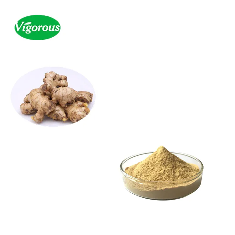 nutritional value ginger root extract powder