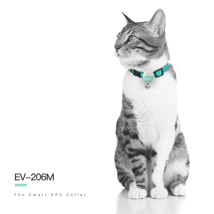 Обзор Новое поступление EV206M 4G CAT-M GPS отслеживания домашних животных ошейник для собак и
