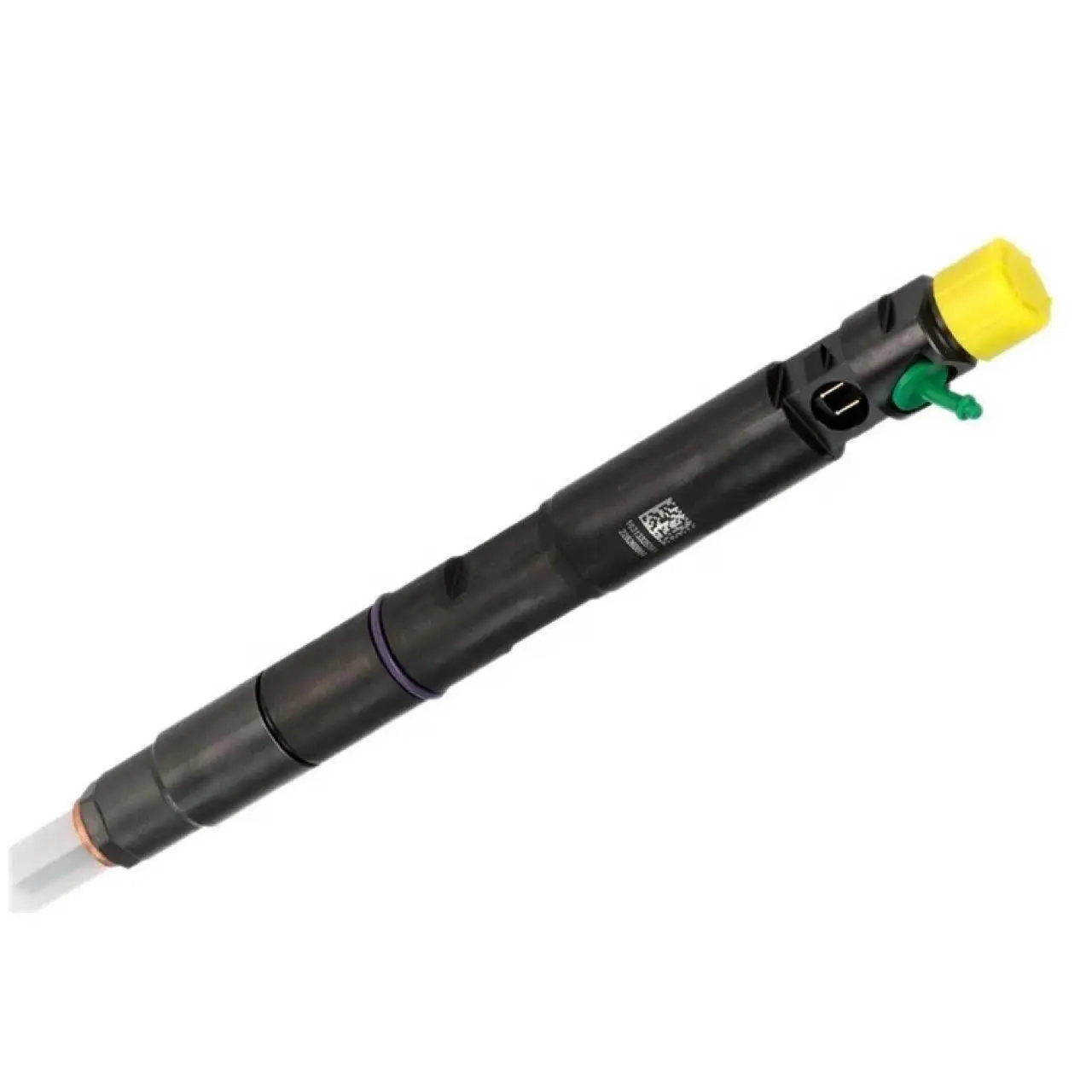 Common Rail Injector A6650170221 EJBR04401D for SR Rodius Kyron 2.7 Xdi for Delphi
