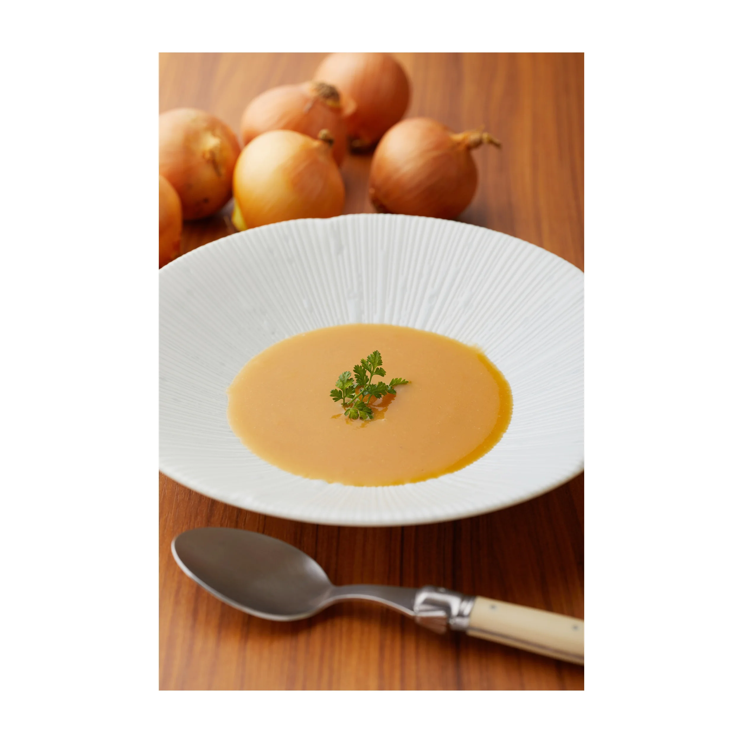 Японская поставка, отвар мгновенного приготовления для продажи по хорошей цене