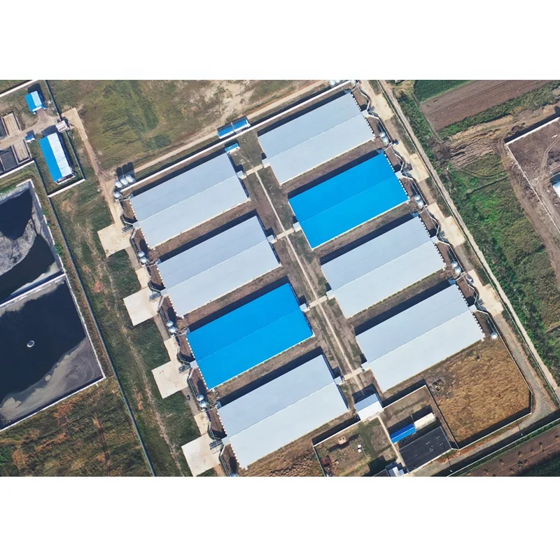 light metal building construction gable frame prefabricated steel structure warehouse