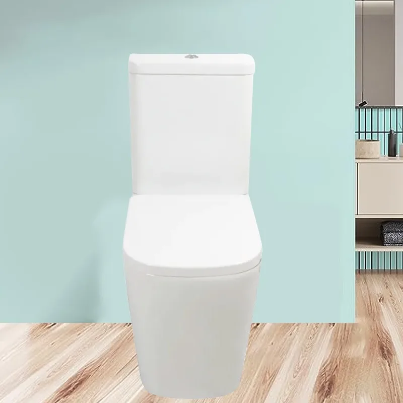 White lavatory toilette wc pan dual flush ceramic floor mounted sanitary ware luxury vanity washroom design toilet and shower