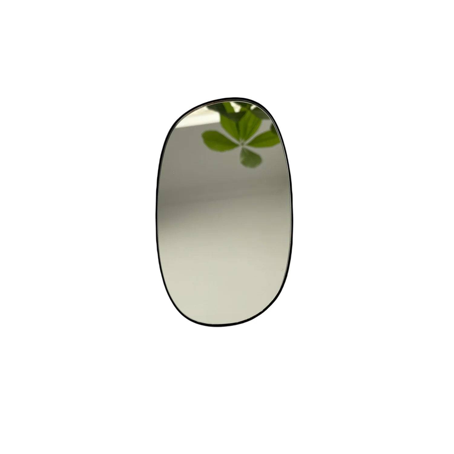 Side View Mirror