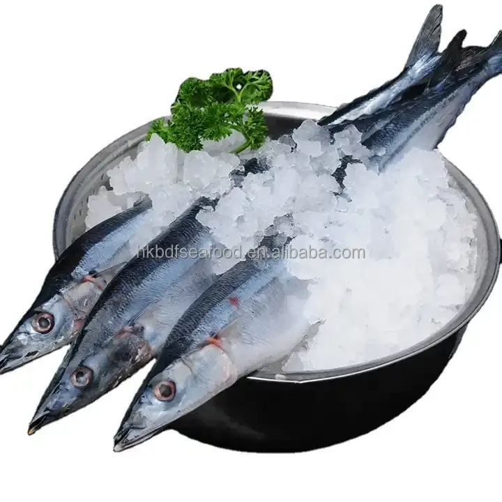 Frozen Factory Seafood Saury Fish for Export