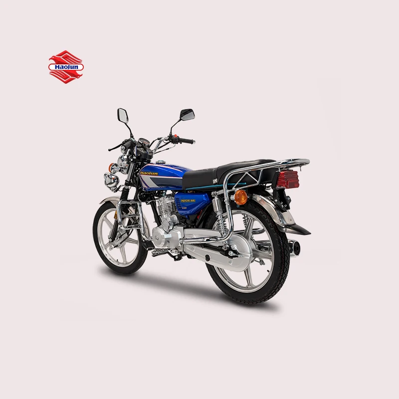 Super Power New Mode Low Price High Quality Adult Street Bike Cargo Motorcycle