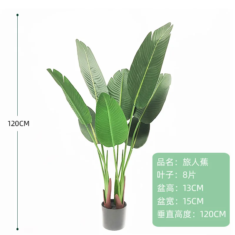 An interior window displays Nordic traveller bananas coconut tree high quality artificial trees